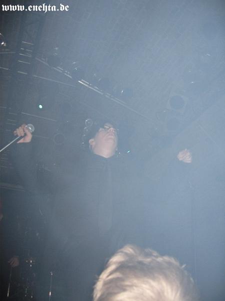 Lame Immotrelle vom 20.02.2008-004.jpg